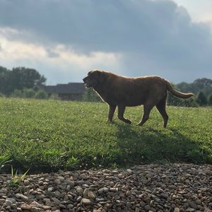 Meet your Posher, Isaac